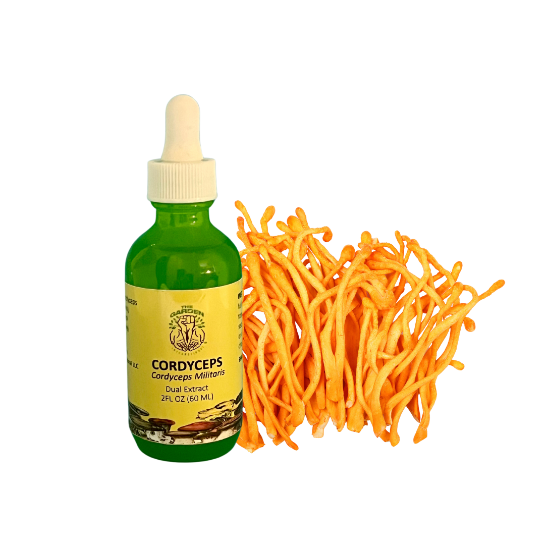 Energy & Focus Duo - Cordyceps & Lion's Mane Tincture