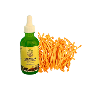 Energy & Focus Duo - Cordyceps & Lion's Mane Tincture