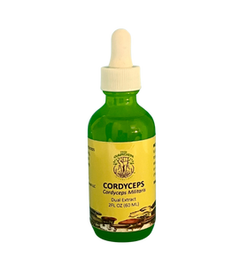 Energy & Focus Duo - Cordyceps & Lion's Mane Tincture