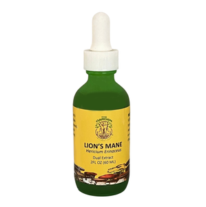 Lion’s Mane tincture – natural nootropic extract for brain health, cognitive function, and nervous system support.