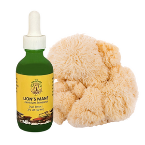 Lion’s Mane dual extract tincture for brain health, cognitive support, and immune-boosting benefits, made from sustainably grown Hericium erinaceus mushrooms.