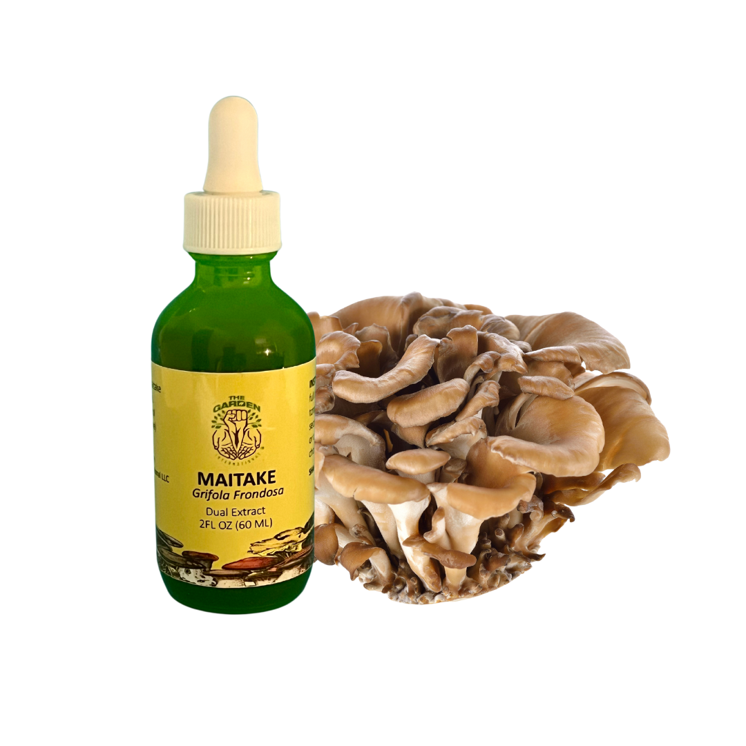 Maitake Dual Extract Tincture