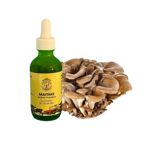 Maitake Dual Extract Tincture