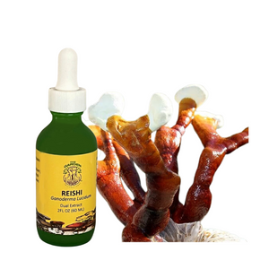 Reishi dual extract tincture for immune support, stress relief, and overall wellness, made from sustainably cultivated Ganoderma lucidum mushrooms.