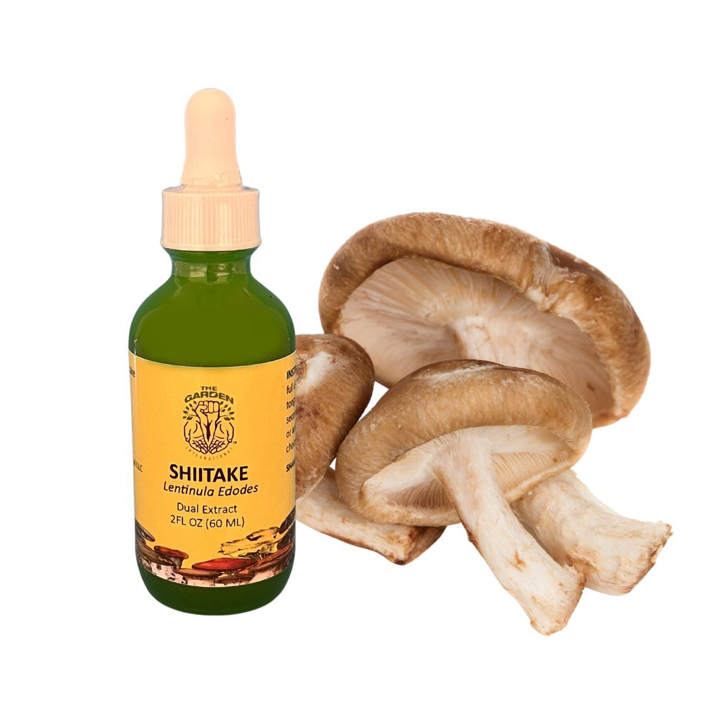 Shiitake Mushroom Tincture Bottle – Organic Dual Extract for Immune Support, Heart Health, and Antioxidant Benefits.