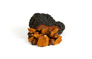 Wild Chaga Mushroom – Immune-Boosting Antioxidant Extract