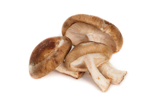 Fresh Shiitake Mushroom (Lentinula edodes) – Gourmet and Medicinal Mushroom Known for Rich Umami Flavor, Immune Support, and Antioxidant Benefits.