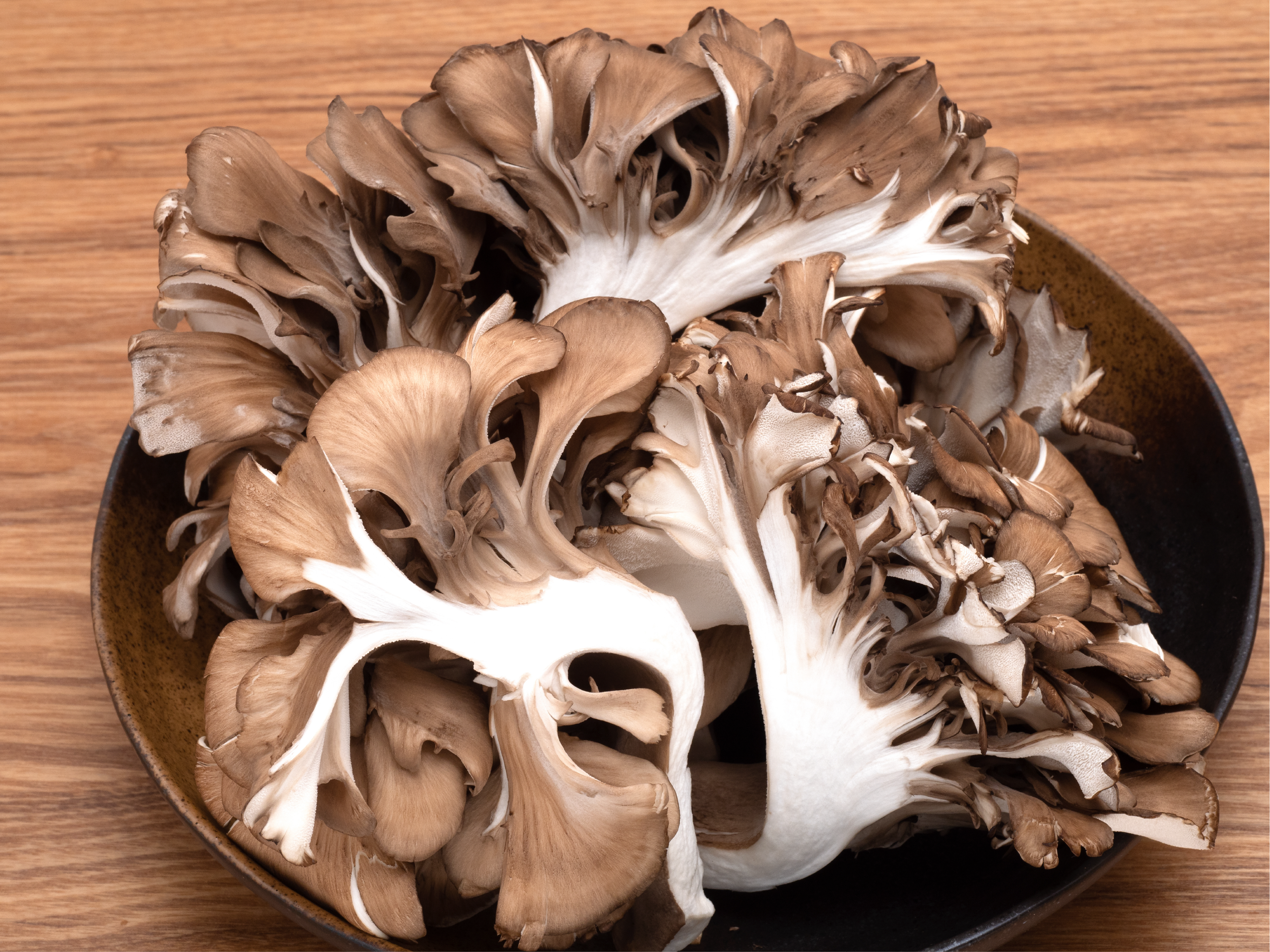 Fresh Maitake Mushroom (Hen of the Woods) – Nutritious, Earthy, and Perfect for Gourmet Cooking, Immune Support, and Farm-to-Table Recipes.