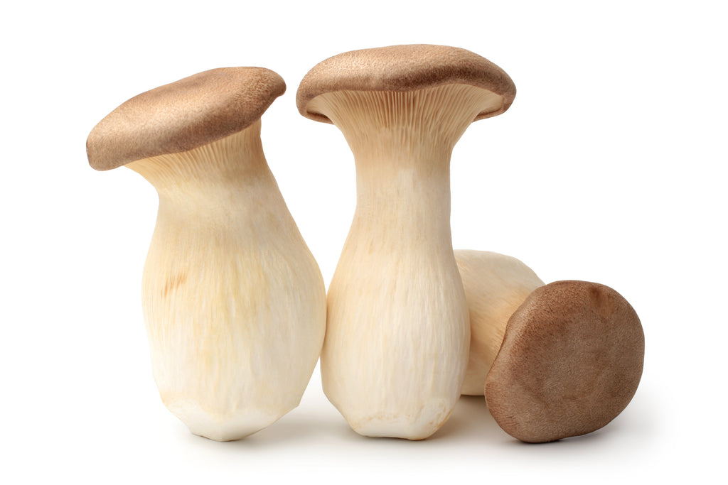 Fresh King Oyster Mushroom (Pleurotus eryngii) – Meaty Texture, Rich Umami Flavor, and Perfect for Gourmet Cooking and Plant-Based Recipes.