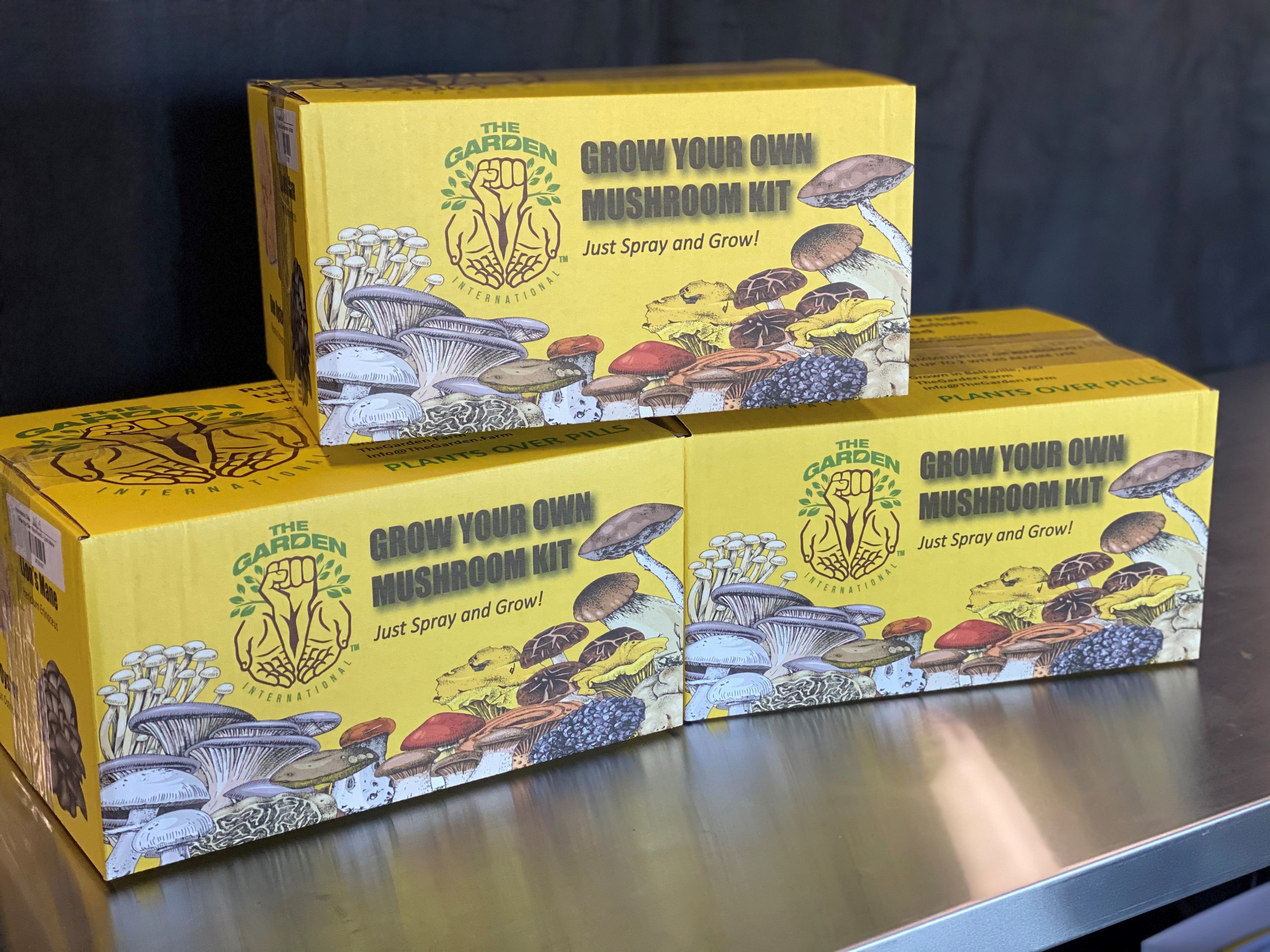 Stack of Mushroom Grow Kits in Boxes – Easy Home Cultivation for Fresh Gourmet Mushrooms, Perfect for Beginners and Mycology Enthusiasts.